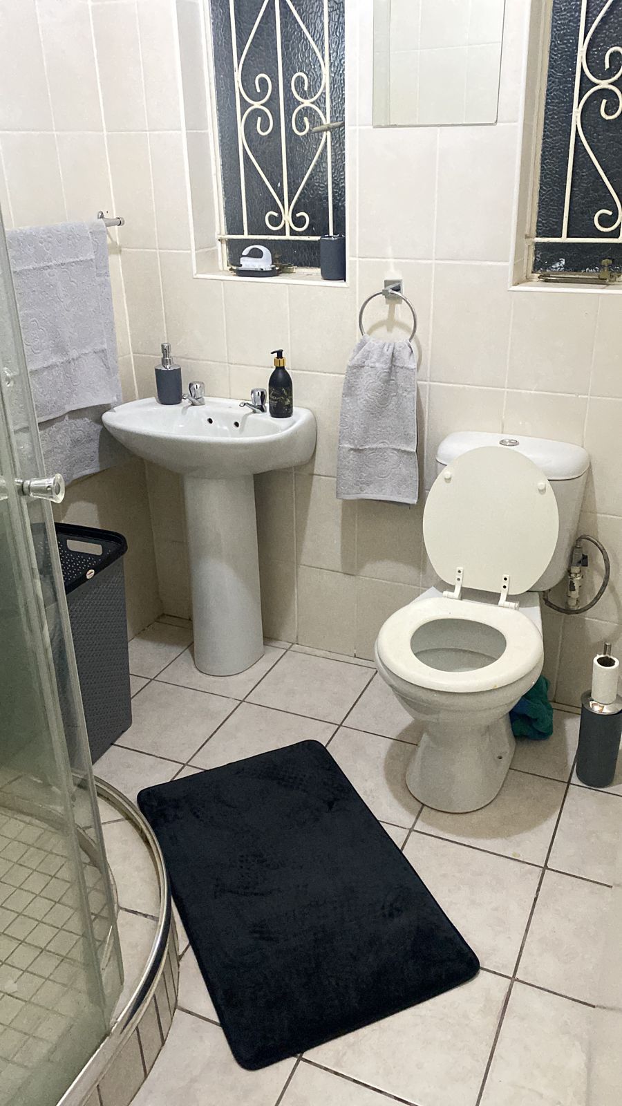 3 Bedroom Property for Sale in Bedelia Free State